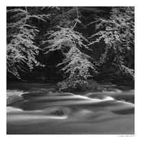Afon Dwyfor 3