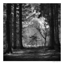 hidden Coed-y-Chwarel
