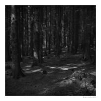 hidden Coed-y-Chwarel