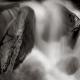 artwork-227062 | £185 | 40 x 40cm | Black and white photograph printed on archival paper using pigmented inks artwork-227062