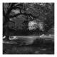 Afon Dwyfor 1 | £185 | | Black and white photograph printed on archival paper using pigmented inks Afon Dwyfor 1