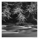 Afon Dwyfor 3 | £185 | | Black and white photograph printed on archival paper using pigmented inks Afon Dwyfor 3