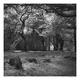 Afon Dwyfor 2 | £185 | | Black and white photograph printed on archival paper using pigmented inks Afon Dwyfor 2