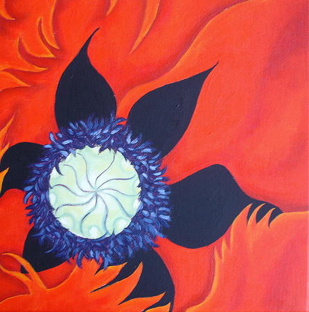 Poppy