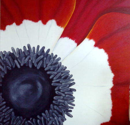 Anemone
