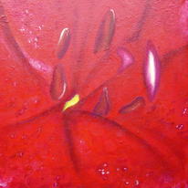 Red Iris II