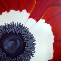 Anemone