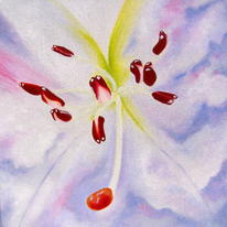 Rhododendron