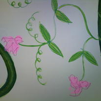 Sweetpea