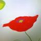Poppy