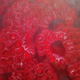 Berrytastic