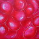 Berry Study