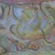 Animal - Dream Walking | | 20 x 5cm | Oil on Gesso Board Animal - Dream Walking