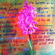 Doolin Flower Painting…