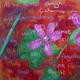 Doolin Flower Painting…