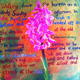 Doolin Flower Painting…