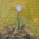 I am a Flower