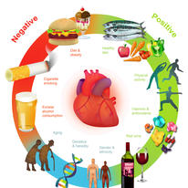 CVD (textbook illustration)