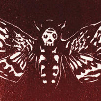Moth (Death's Head)