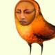 Buddhist Bird