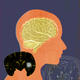 Brain (book cover artwork)