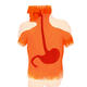 Stomach