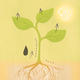 Transpiration
