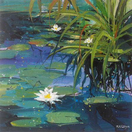 Lily Pond