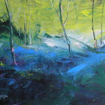 Moning Sunlight  Bluebells
