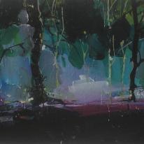 Bluebell Splash
