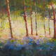 Bluebells and Morning…