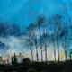 Winter Trees Sunlight,…