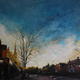 Evening Sunlight, Ecclesall…