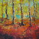 Autumn Trees, Ecclesall…