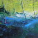 Moning Sunlight Bluebells