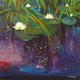 Lily Pond Reflections…