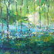 Bluebells 07 [Ecclesall…