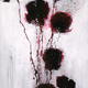 POPPY SWAY 2