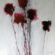 POPPY SWAY