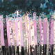 Lilac Wood