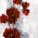 Poppy Splash 7