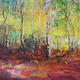 Morning Autumn Sunlight