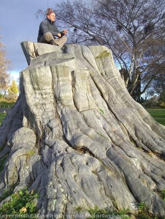 Tree stump