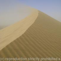 Sand dune