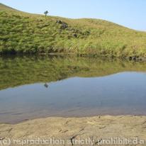 Indian reflections