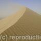 Sand dune | | | Photograph Sand dune
