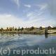Reed island