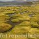 Altiplano landscape