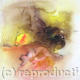 Ars Natura 1
