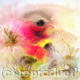 Ars Natura 3